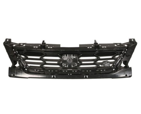 Radiator grille