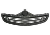 Radiator grille