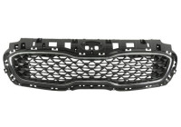Radiator grille
