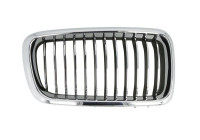 Radiator grille
