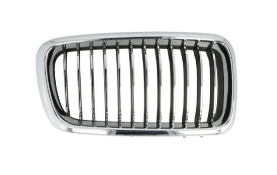 Radiator grille