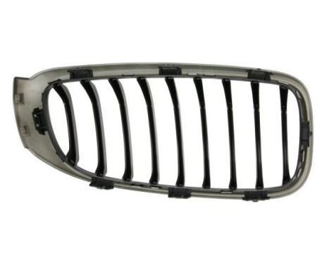 Radiator grille, Image 2