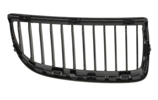 Radiator grille, Image 2