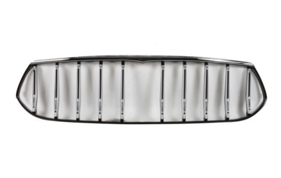 Radiator grille