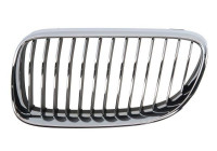 Radiator grille