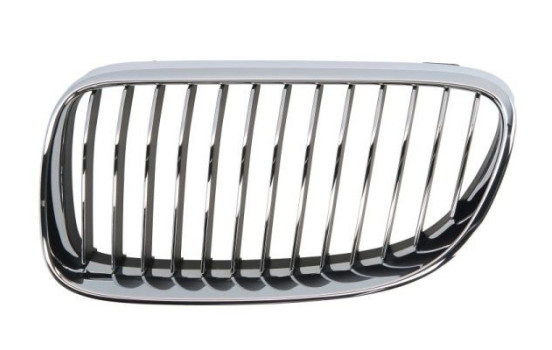 Radiator grille