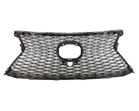 Radiator grille