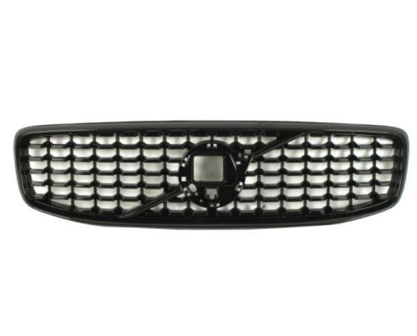 Radiator grille