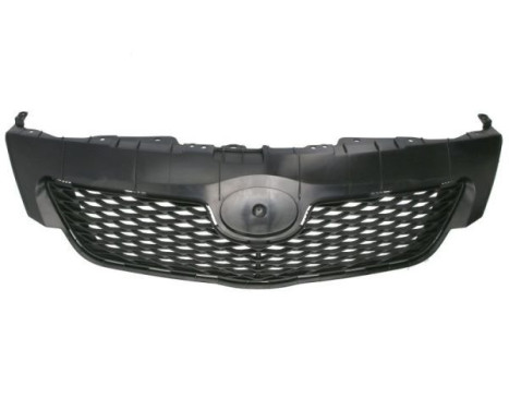 Radiator grille