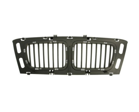 Radiator grille