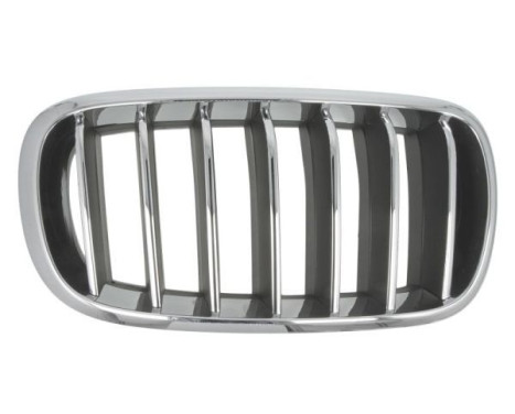 Radiator grille