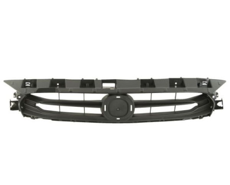 Radiator grille