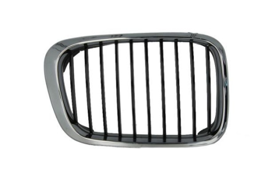 Radiator grille