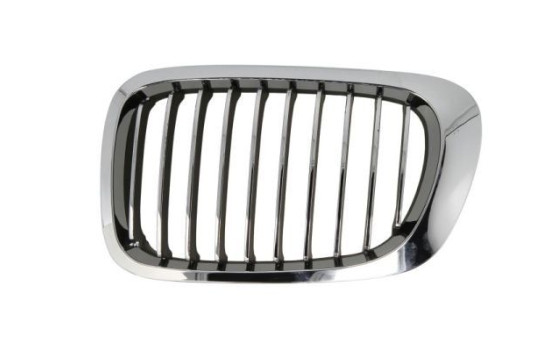 Radiator grille