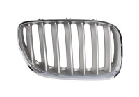 Radiator grille