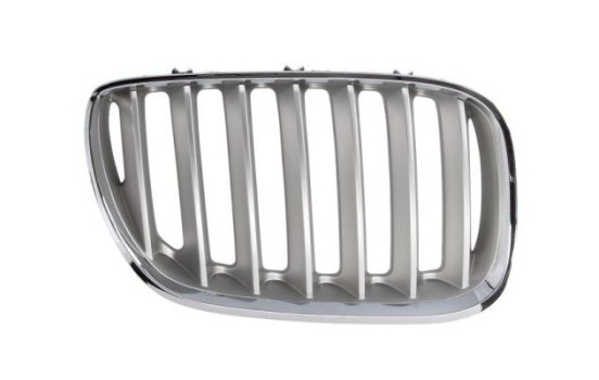 Radiator grille