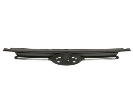 Radiator grille
