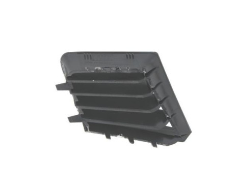 Radiator grille, Image 2