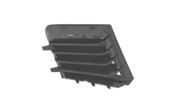 Radiator grille, Image 2