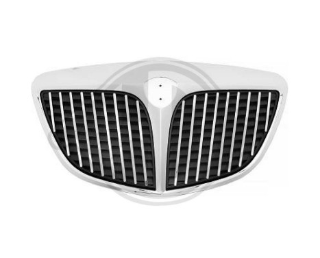 Radiator grille, Image 2