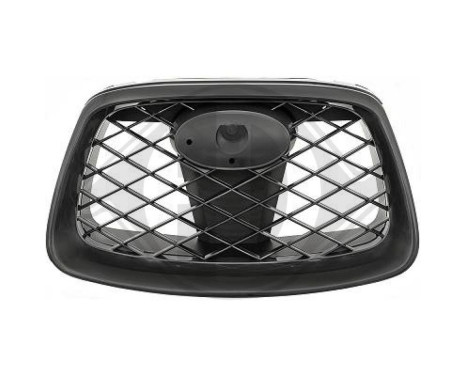 Radiator grille, Image 2