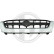 Radiator grille, Thumbnail 2