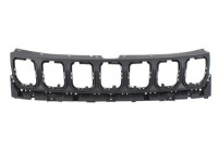 Radiator grille