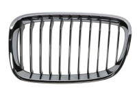 Radiator Grille