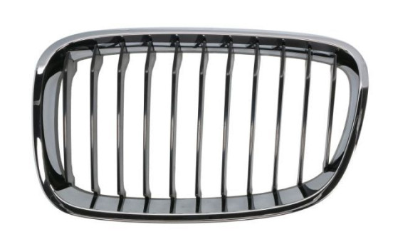 Radiator Grille