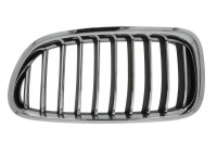 Radiator grille