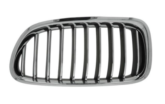 Radiator grille