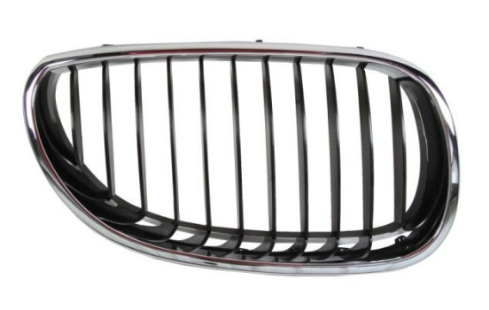 Radiator grille