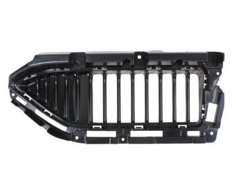 Radiator grille