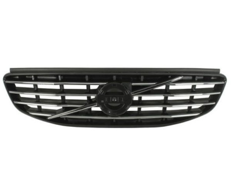 Radiator grille