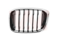 Radiator grille