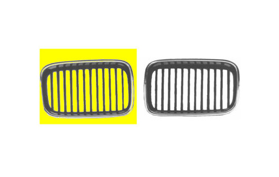 Radiator Grille