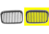Radiator Grille