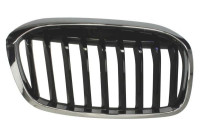 Radiator grille