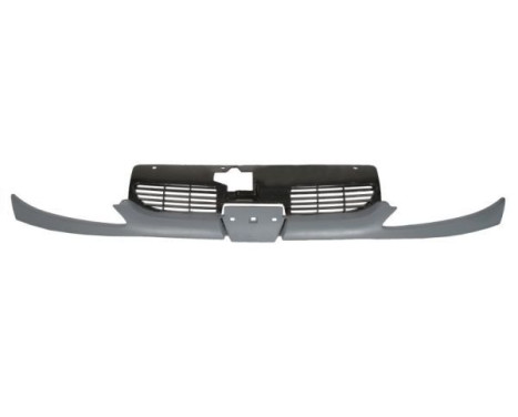 Radiator grille