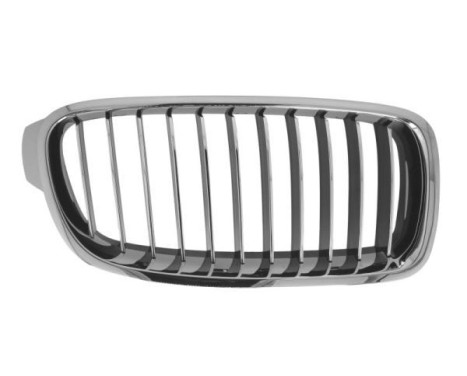 Radiator grille