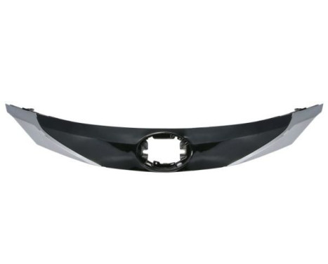 Radiator grille, Image 2