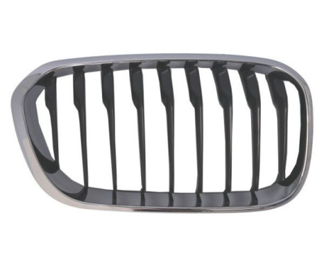 Radiator grille
