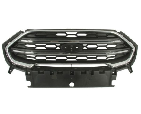 Radiator grille
