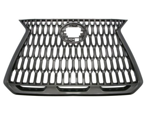 Radiator grille