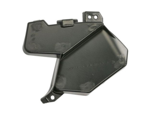 Radiator grille, Image 2