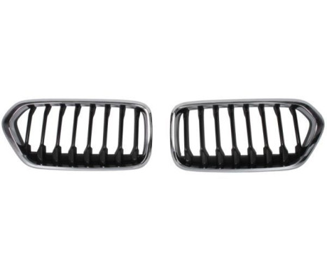 radiator grille