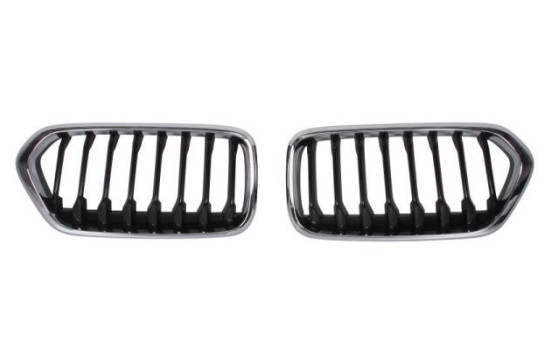radiator grille