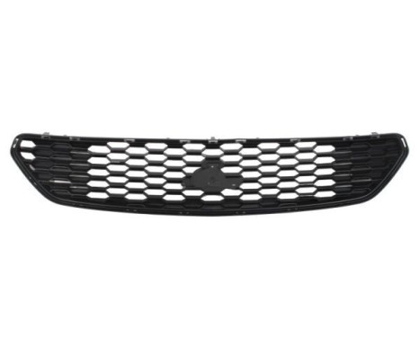 Radiator grille