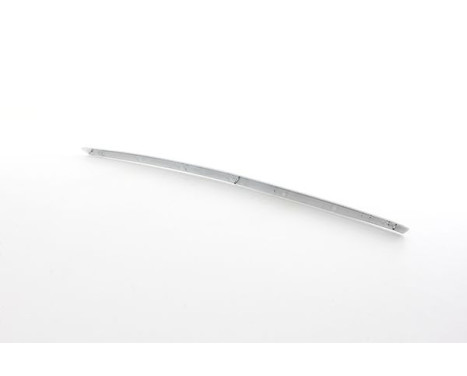 Trim / Protection panel, radiator grille, Image 2