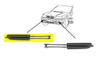 Trim/Protective Strip, bumper